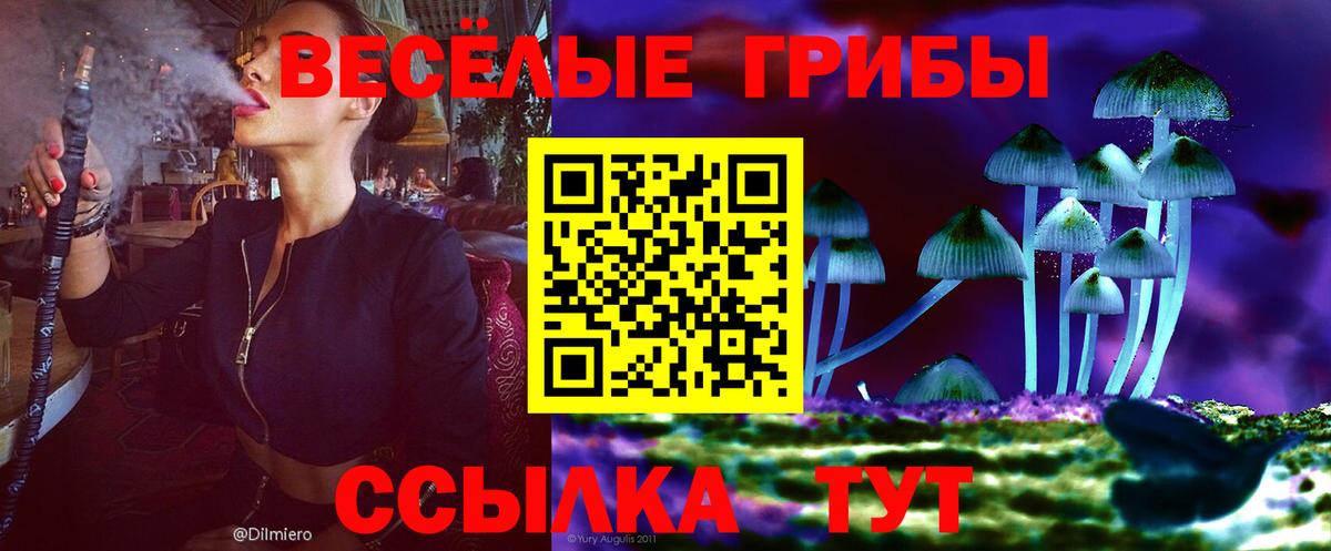 Псилоцибиновые грибы Cubensis  что такое   Липецк  Вход с VPN 