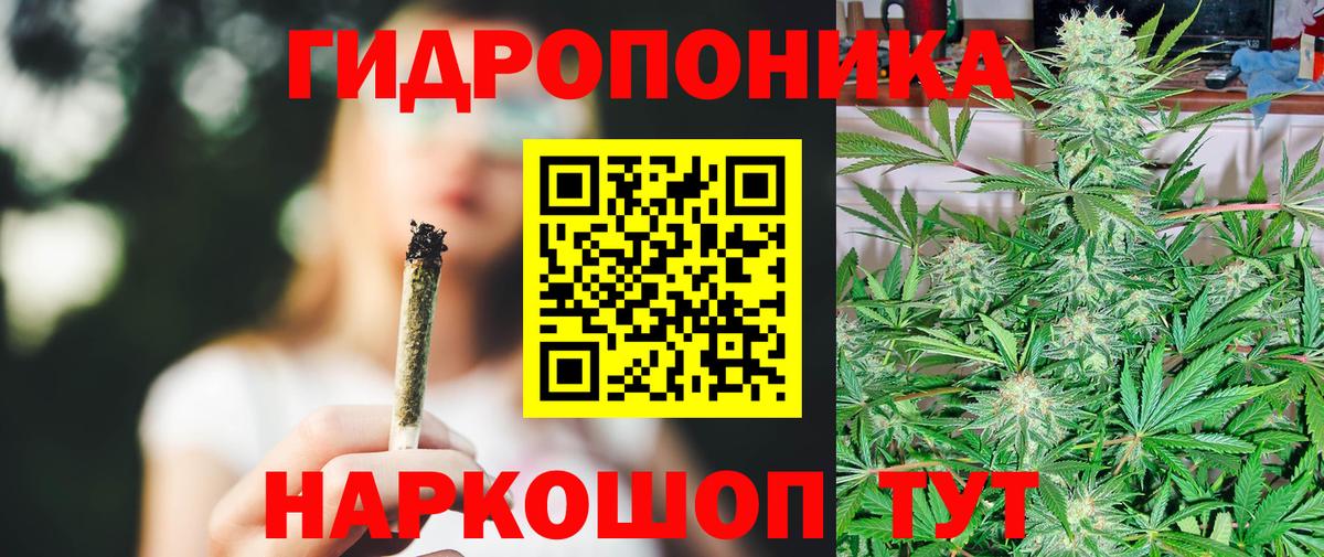 Марихуана сатива Липецк